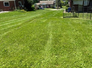 Cindy S.'s Lawn Mowing service result