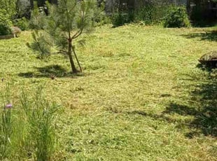 Amanda U.'s Lawn Service service result