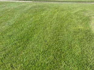 Maurice B.'s Lawn Mowing Service service result