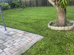 ELIZABETH F.'s Lawn Maintenance service result