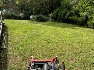 Stephen H.'s Lawn Mowing Service service result