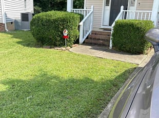 Bush Trimming by John Wright sr for Xenia P. in Raleigh, NC