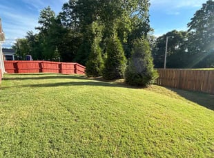 Laurie b.'s Lawn Mowing service result