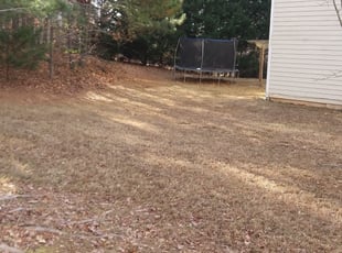 Leaf Removal by Mark Redden for Brandon C. in Atlanta, GA