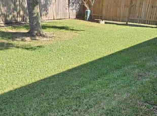 Victor D.'s Lawn Service service result