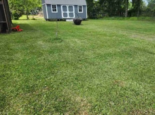 Tina S.'s Lawn Service service result