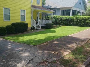Bush Trimming by Jazzmin Earl for Louis P. in Atlanta, GA