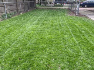 Lawrence S.'s Lawn Mowing Service service result