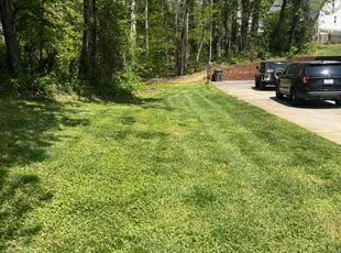 Fran B.'s Yard Cutting service result