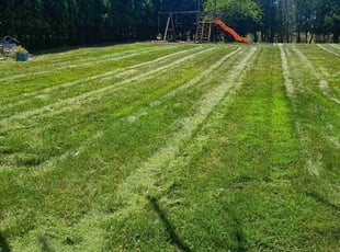 Cristina M.'s Yard Cutting service result