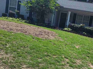 Bush Trimming by Arey Cooper for Patricia S. in Atlanta, GA
