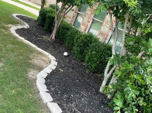 Weeding by Fernando Chairez for Andrea S. in Roanoke, TX