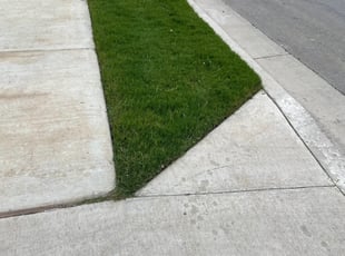 Angie T.'s Yard Cutting service result