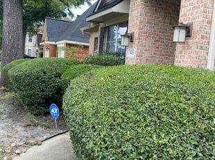 Bush Trimming by Juan Wong for Steven S. in Tomball, TX