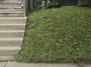 Melvin E A.'s Lawn Service service result