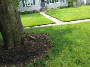 Beth J.'s Lawn Care service result