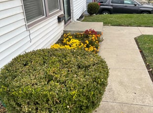 Weeding by Scott Culala for Montiero M. in Kansas City, MO