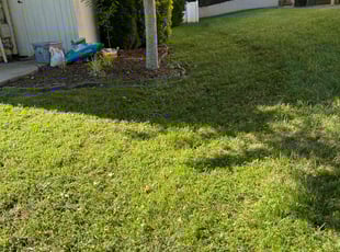 George M.'s Lawn Care service result