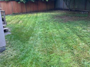 Melissa Z.'s Yard Cutting service result