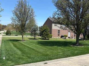 Amy L.'s Grass Cutting service result