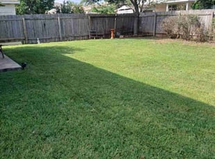 Angie W.'s Lawn Care service result
