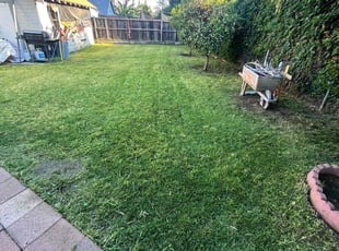 Ernest N.'s Yard Cutting service result