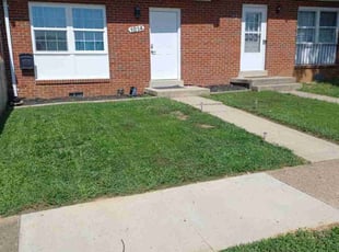 Brandon F.'s Lawn Mowing Service service result
