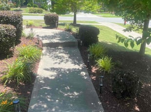 Bush Trimming by David Canty for Praveen N. in Cary, NC