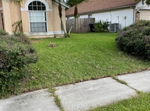 Leaf Removal by Kerry Moseley for Sophia R. in Orlando, FL