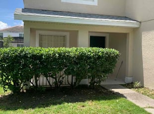 Bush Trimming by Robert Fritsch for Cyn W. in Kissimmee, FL