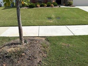 Donna A.'s Lawn Mowing Service service result