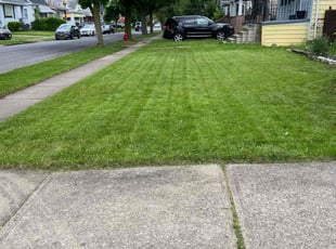 Anthony d.'s Lawn Service service result
