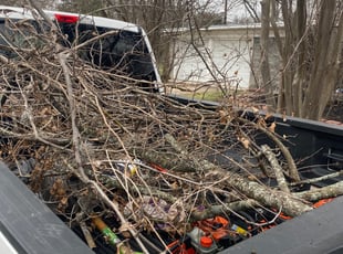 Cleanups by Bradley Matthiesen for Jacob S. in San Antonio, TX