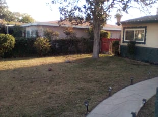 Bush Trimming by Louie Priest for Yazmin J. in Bakersfield, CA