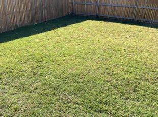 Hayden D.'s Yard Cutting service result