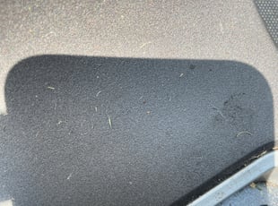 Cleanups by Haley Hougen for Sid L. in Carrollton, Tx