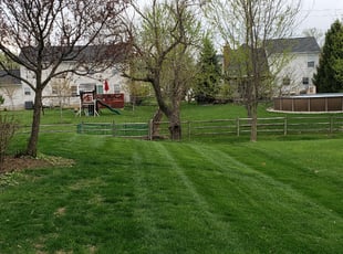 Rick B.'s Lawn Mowing Service service result