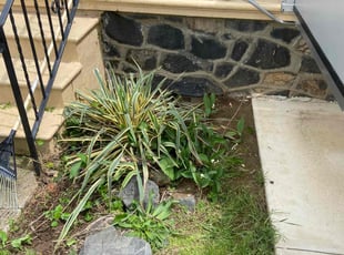 Weeding by Mariah Mercado for Robert D. in Wilmington, DE