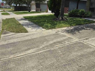 Cheryl W.'s Lawn Maintenance service result