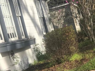 Bush Trimming by Kristopher Anderson for Leah S. in Baton Rouge, LA