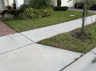 Jiselle P.'s Lawn Mowing service result
