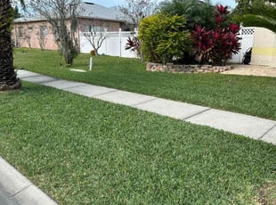 Paul T.'s Lawn Maintenance service result