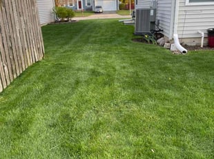 Aaron J.'s Lawn Mowing Service service result