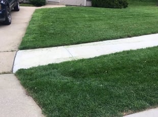 Sheila M.'s Lawn Care service result