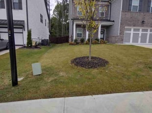 Susan H.'s Lawn Service service result