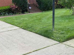 Bush Trimming by Fidel Rodriguez for Hans H. in Springfield, VA