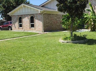 Matthew M.'s Grass Cutting service result