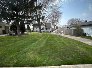 Brandon S.'s Grass Cutting service result