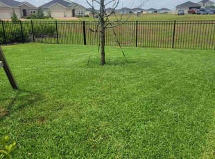 Sunshine M.'s Lawn Care service result