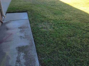 Sherry S.'s Lawn Service service result